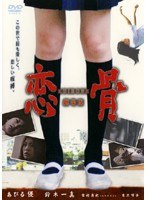  �������ݣˣϣɣ£ϣΣšݡ������  