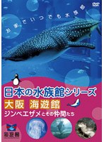 日本の水族館シリーズ 大阪 海遊館 ジンベエザメとその仲間たち
