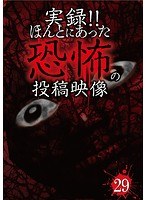 実録!!ほんとにあった恐怖の投稿映像 29