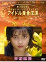  アイドル黄金伝説 中野理絵でDMMアフィリエイトツール