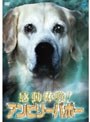 感動体験!アンビリーバボー