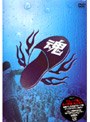  グループ魂の雨の野音（晴天決行）でDMMアフィリエイトツール
