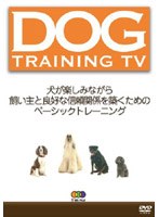 DOG TRAINING TV