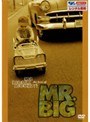 ���쥤�ƥ��ȡ��ӥǥ����ҥå�/MR.BIG