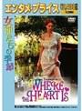  女神たちの季節 （エンタメ・プライス）でDMMアフィリエイトツール