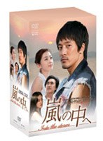 嵐の中へ DVD-BOX I