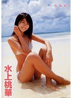 �ޤߤ���⤫��/�������
