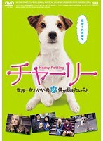 チャーリー 世界一かわいい犬と僕が伝えたいこと