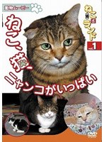 ưʪ�ࡼ�ӡ� �ͤ���ǭ�ˤ� ���� 1 �ͤ���ǭ���˥�󥳤����äѤ�