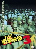 THE 衝撃映像 3