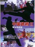 中国武術 2