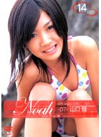 Noah 07/R