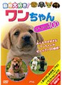  動物大好き！ワンちゃんスペシャル100でDMMアフィリエイトツール