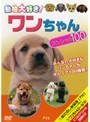  動物大好き！ワンちゃんスペシャル100でDMMアフィリエイトツール