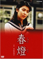 春燈