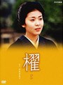  櫂 3枚組BOXでDMMアフィリエイトツール