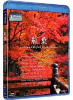 紅葉?autumn with your favorite music? V-music (ブルーレイディスク)