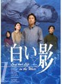白い影 1