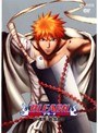  BLEACH 尸魂界・救出篇（5巻セット）でDMMアフィリエイトツール