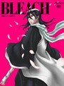  BLEACH 破面・VS.死神篇 2でDMMアフィリエイトツール