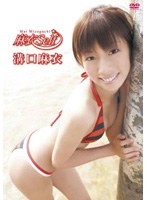 麻衣self/溝口麻衣