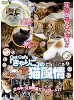 Cat Cafe�֤���ꤳ�פ�ǭ����