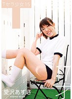 T���龯�� 15 ����������