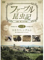 �ե����֥뺫� ������٤ȥ��ǥॷ ������̿��̤��������