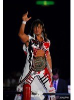 新日本プロレス2012年総集編　格闘技
