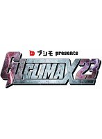 G1 CLIMAX 2013 DVD＆Blu-ray （DVD＋ブルーレイディスク）　格闘技