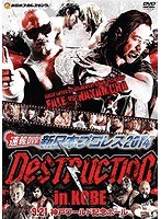 速報DVD！新日本プロレス2014 DESTRUCTION in KOBE 9.21神戸ワールド記念ホール　格闘技