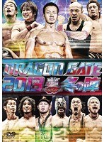DRAGON GATE 2013‘冬の陣’　格闘技