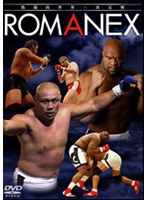 K-1（ROMANEX）　格闘技