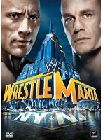 WWE レッスルマニア29　格闘技