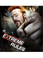 WWE エクストリーム・ルールズ 2013　格闘技