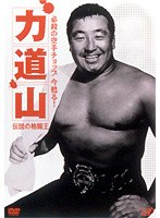 必殺の空手チョップ 今蘇る！力道山 ～伝説の格闘王～　格闘技