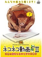 ネコネコ動画 II～世界のおもしろニャンコ大集合～　趣味・教養