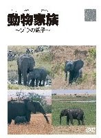 動物家族 ～ゾウの親子～　趣味・教養