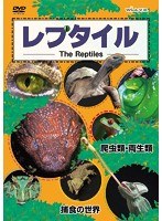 レプタイルDVD 世界の爬虫類、両生類。捕食の世界。　趣味・教養