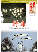 日本再発見 野鳥　趣味・教養