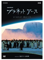 NHKスペシャル プラネットアース episode 01 生きている地球　テレビ