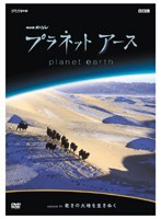 NHKスペシャル プラネットアース episode 04 乾きの大地を生きぬく　テレビ