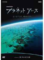 NHKスペシャル プラネットアース episode 07 海 ひしめく生命　テレビ