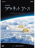 NHKスペシャル プラネットアース episode 08 極地 氷の世界　テレビ