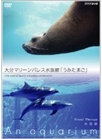 NHK DVD 水族館 ～An aquarium～ 大分マリーンパレス水族館「うみたまご」　テレビ