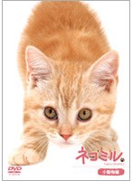 ネコミル 小動物編　趣味・教養