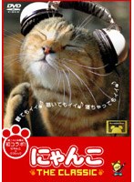 にゃんこ THE CLASSIC　テレビ