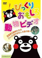 びっくりおもしろ動物ビデオ　趣味・教養