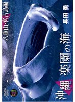 大自然ライブラリーシリーズ 『沖縄 楽園の海 ～八重山・宮古島編～』　趣味・教養