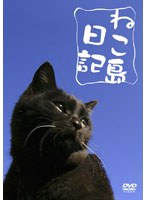 ねこ島日記　趣味・教養